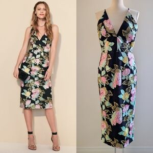 Dress The Population Mariah Floral V-Neck Floral Rose Embroidered Midi Dress